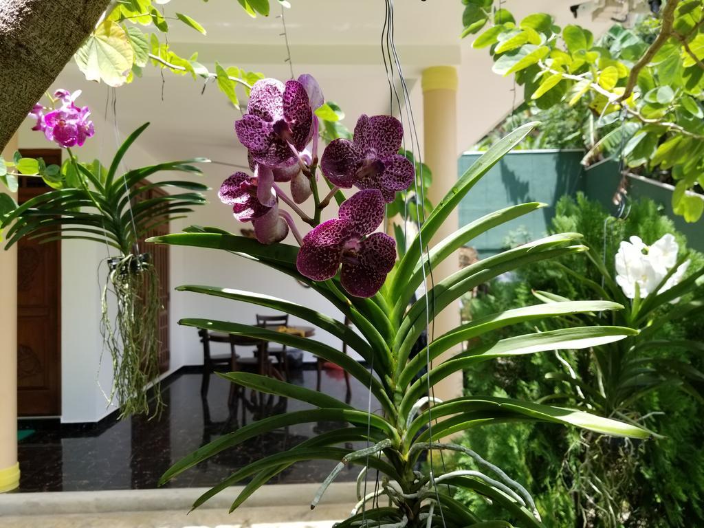 Coral Palm Villa And Apartment Унаватуна Экстерьер фото